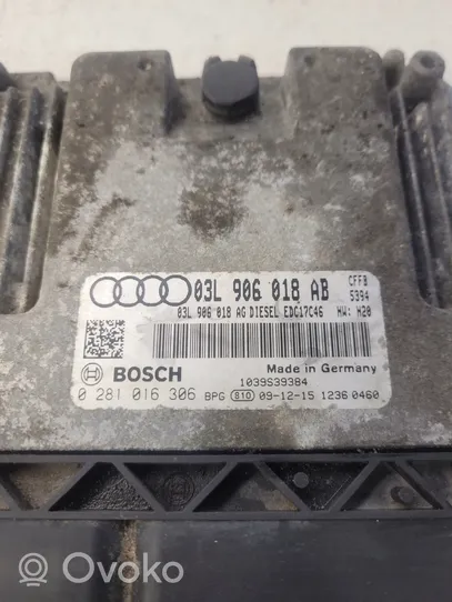 Audi A3 S3 A3 Sportback 8P Calculateur moteur ECU 03L906018AB