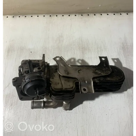 Volkswagen Golf Plus EGR-venttiili/lauhdutin 038131513AD