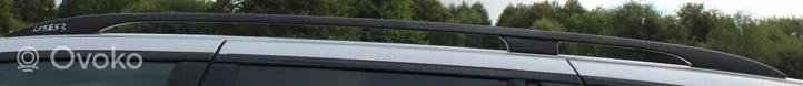 BMW X5 E53 Išilginiai stogo strypai "ragai" 