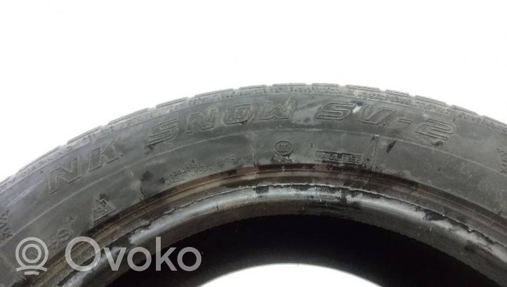 Volkswagen PASSAT B5 R 15 ziemas riepa (-as) NANKANG