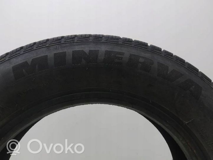 Fiat Punto (188) R14 winter tire MINERVA
