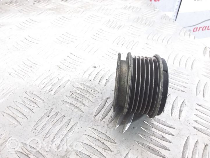 Volkswagen Sharan Alternator pulley F55347002