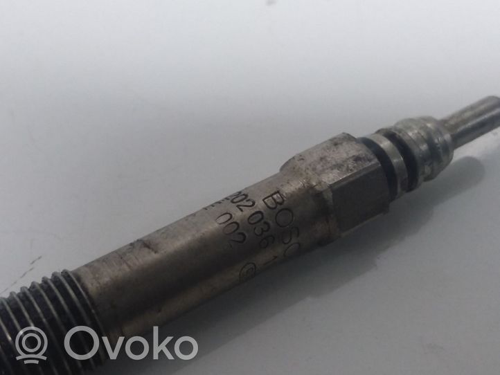 Opel Vectra C Glow plug 0250202036