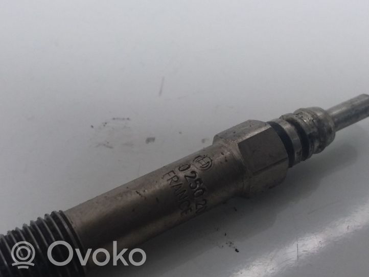 Opel Vectra C Pakaitinimo žvakė (-ės) 0250202036