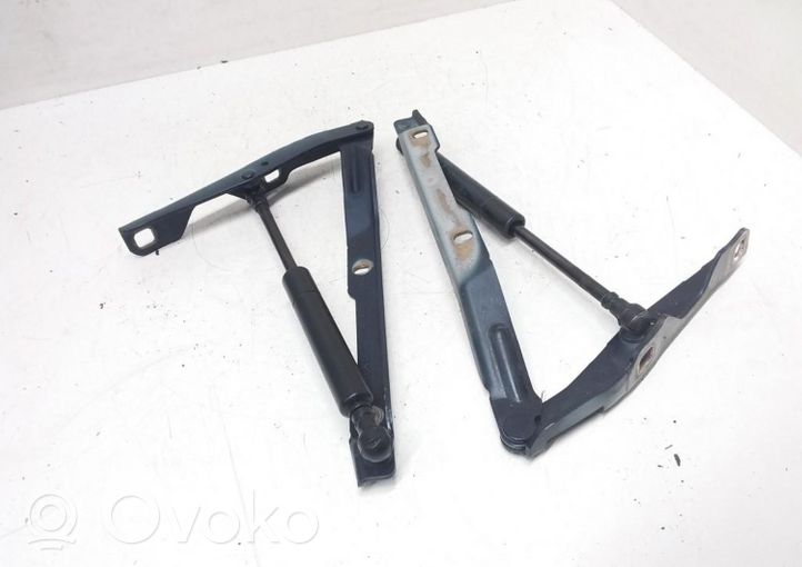 Porsche Boxster 986 Cerniere del vano motore/cofano 986996511151