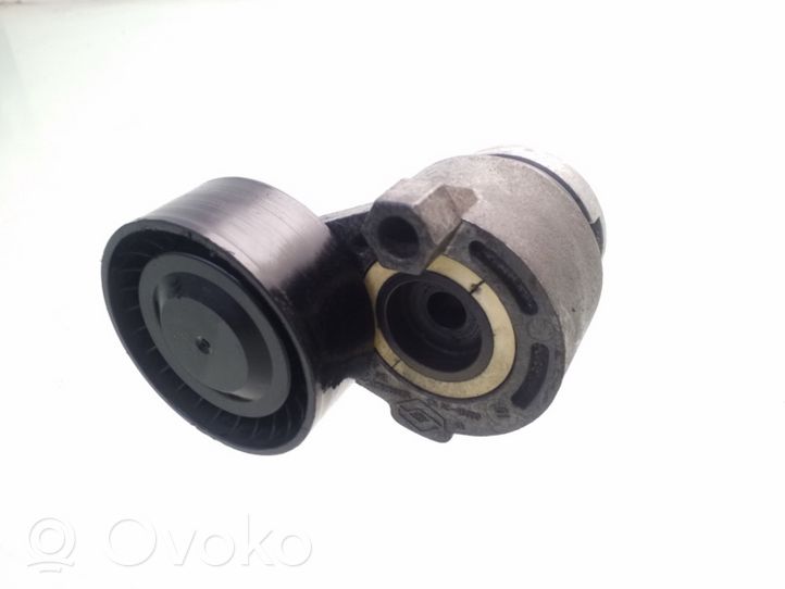 Nissan Qashqai Diržo įtempėjas 117503662R