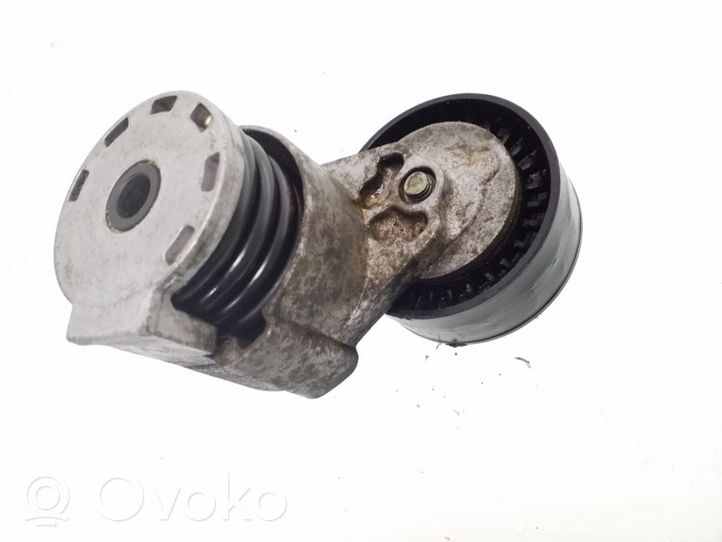 Renault Kangoo I Napinacz paska alternatora 8200608550