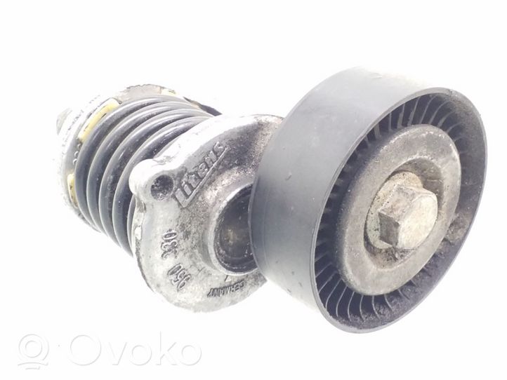 Skoda Fabia Mk1 (6Y) Napinacz paska alternatora 950330