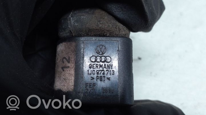 Volkswagen PASSAT B5 Wiązka przewodów drzwi tylnych 3B0971905