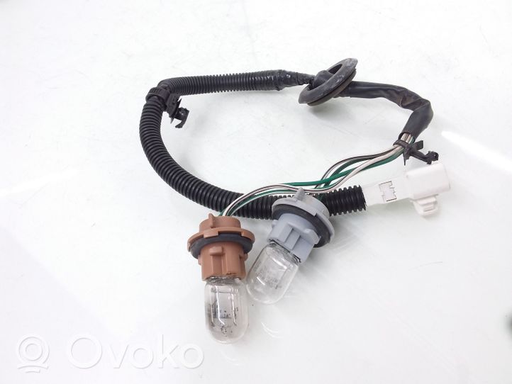 Toyota RAV 4 (XA40) Element lampy tylnej 