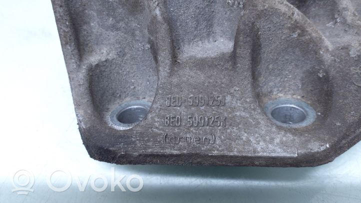 Audi A6 S6 C6 4F Galinio reduktoriaus pagalvė 8E0599125J