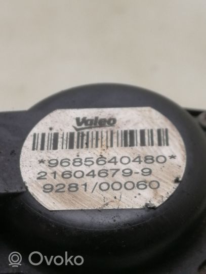 Ford Fiesta EGR vārsts 9685640480