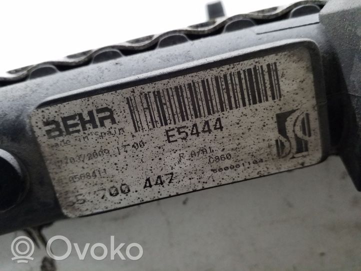 Fiat Punto (188) Radiador del refrigerante 55700447