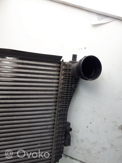 Volkswagen PASSAT B6 Chłodnica powietrza doładowującego / Intercooler 3C0145805G