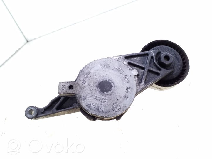 Volkswagen Touran I Napinacz paska wielorowkowego / Alternatora 03G903315C