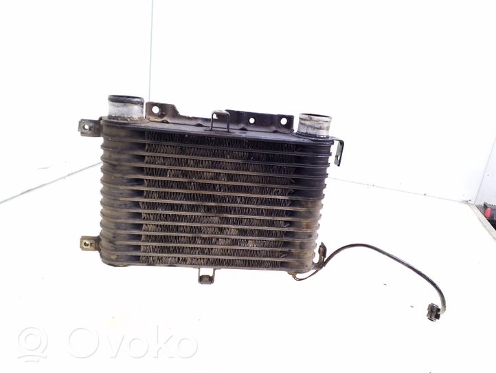 Mitsubishi Pajero Chłodnica powietrza doładowującego / Intercooler 1271000290