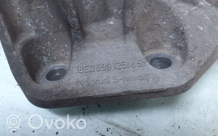 Audi A4 S4 B7 8E 8H Galinio reduktoriaus pagalvė 8E0599125M