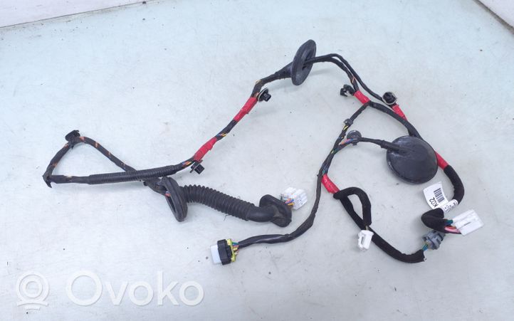 Hyundai Santa Fe Rear door wiring loom 916502B020