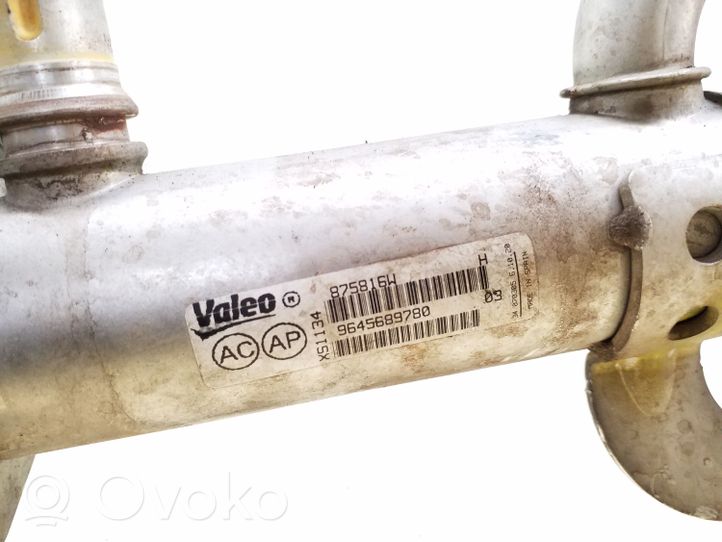 Volvo V50 EGR aušintuvas 9645689780