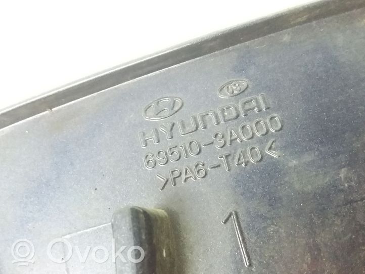 Hyundai Trajet Bouchon, volet de trappe de réservoir à carburant 695103A000