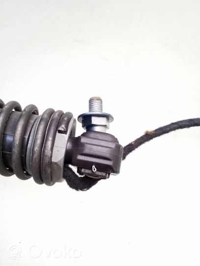 BMW 7 F01 F02 F03 F04 Tailgate strut 712009801