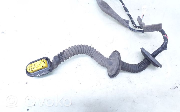 Renault Megane III Rear door wiring loom 241271390R