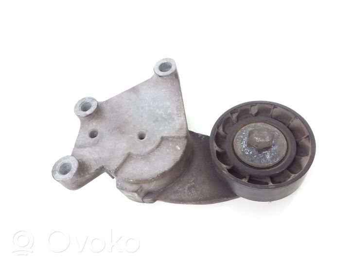 Volvo V40 Cross country Tendicinghia generatore/alternatore 846143