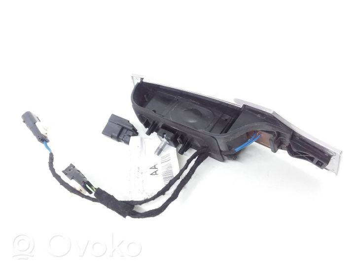 Ford Ecosport Atidarymo rankenėlė galinio dangčio (išorinė) DN1T14A411