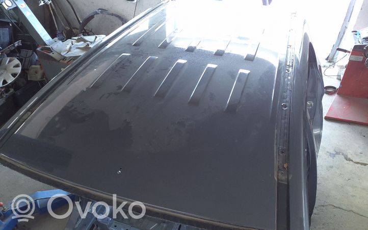 Ford Ecosport Roof 