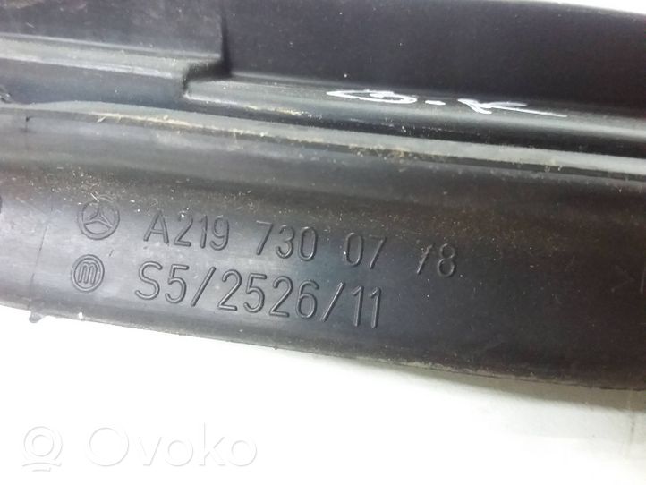 Mercedes-Benz CLS C219 Galinė sandarinimo guma (ant kėbulo) A2197300778