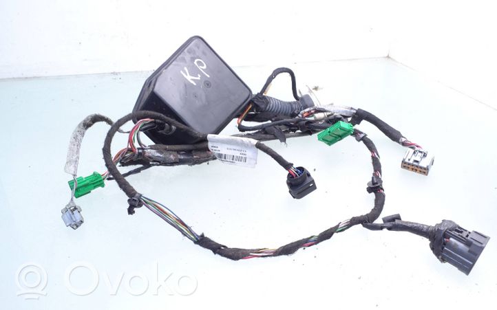 Volvo S60 Cablaggio porta anteriore 8690290