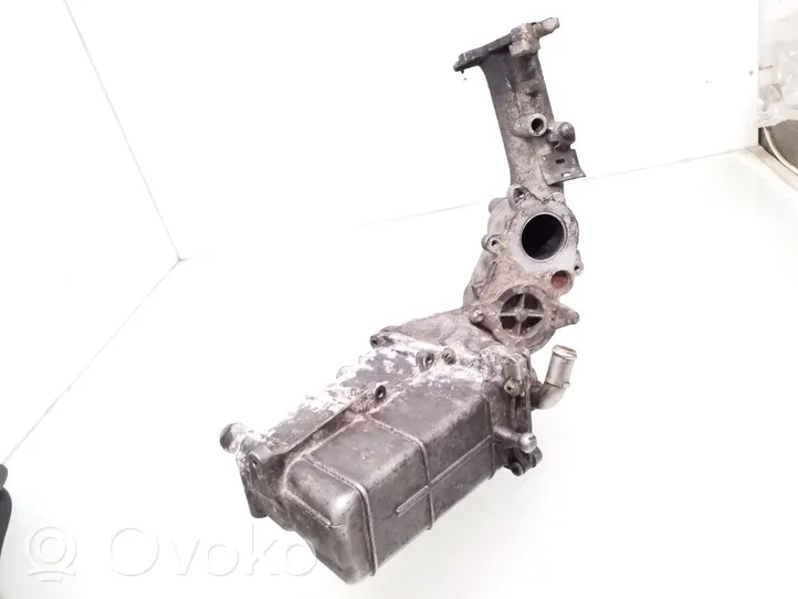 Mercedes-Benz E W211 EGR-venttiili/lauhdutin A6461400675