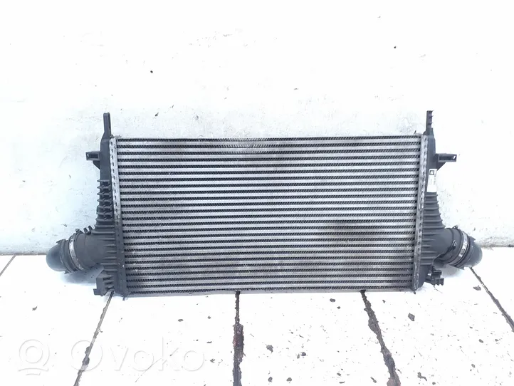 Opel Insignia A Radiatore intercooler P1831002