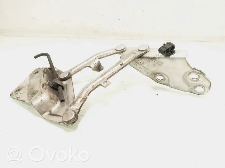 Volkswagen Touareg I Engine bonnet/hood hinges 7L6823302B