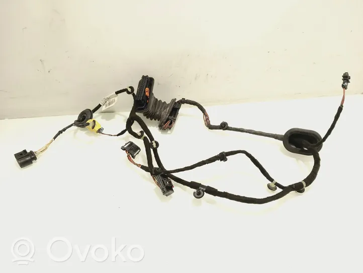 Volkswagen PASSAT B7 Cableado de puerta delantera 3AC971120R