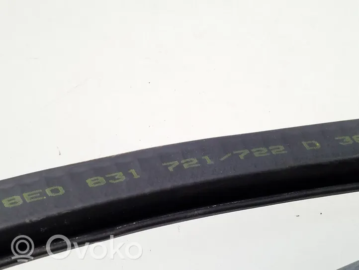 Audi A4 S4 B7 8E 8H Front door rubber seal 8E0831721