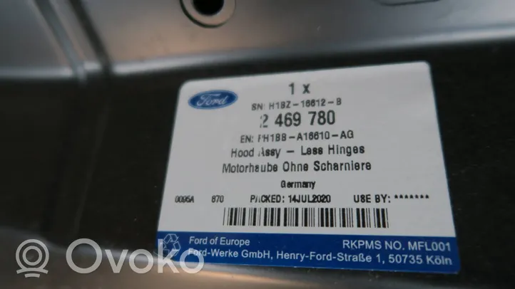Ford Fiesta Motorhaube 2469780