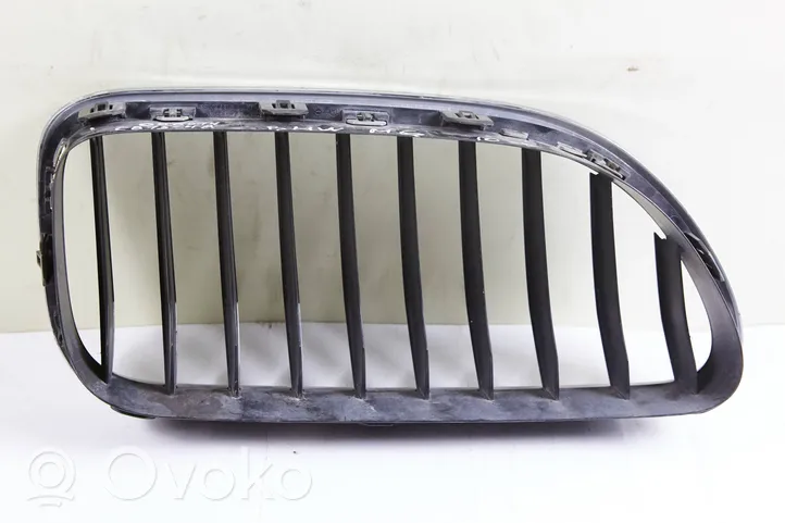 BMW M6 Front grill 51137212849