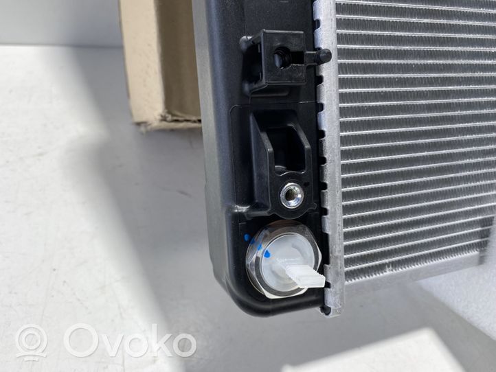 Hyundai Ioniq 5 Radiatore di raffreddamento 25308G2000