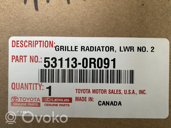 Toyota RAV 4 (XA50) Grille inférieure de pare-chocs avant 531130R091