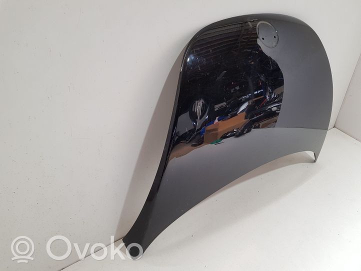 Volkswagen New Beetle Engine bonnet/hood 