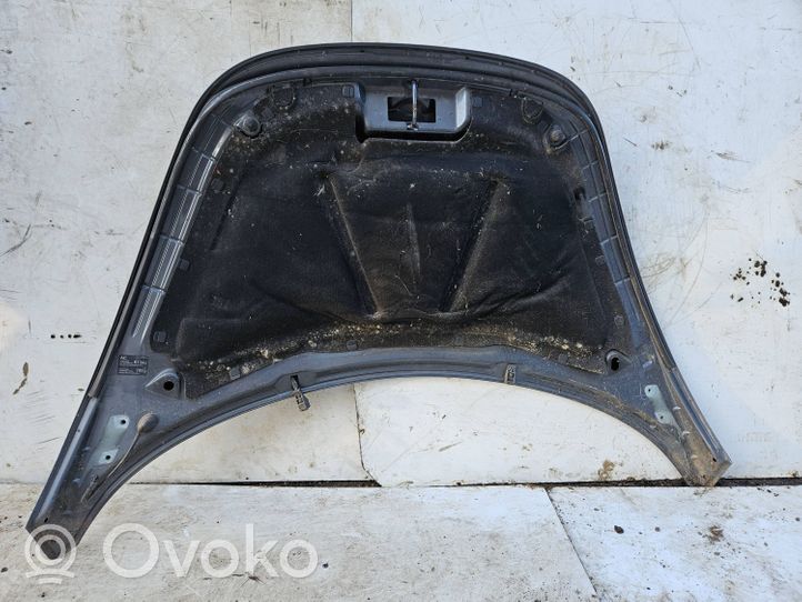 Volkswagen New Beetle Engine bonnet/hood 