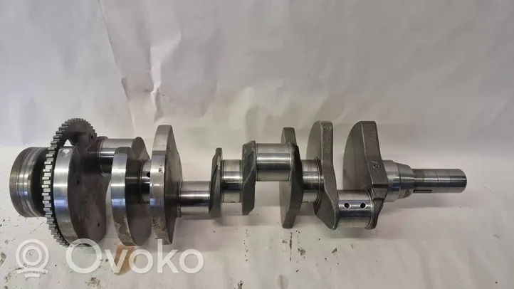 Dodge Challenger Crankshaft 1310339AE