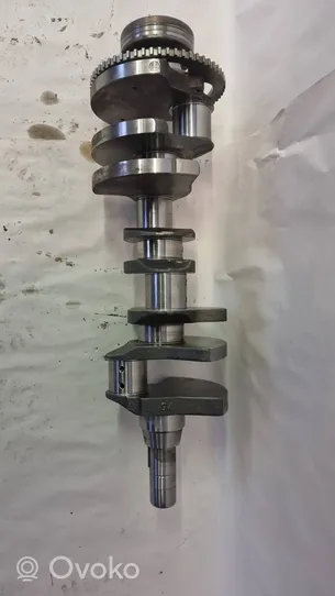 Dodge Challenger Crankshaft 1310339AE