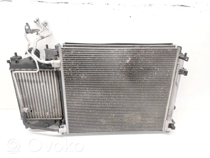 Renault Kadjar Kit Radiateur 921009251E