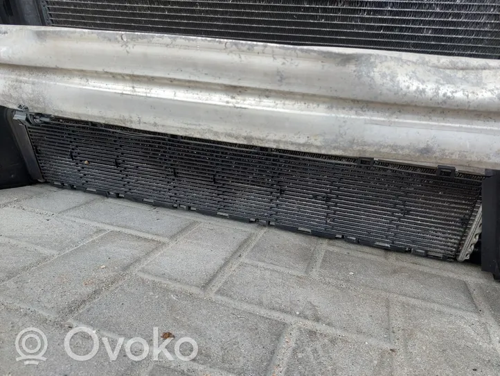 Audi A4 Allroad Radiatoru panelis (televizors) 