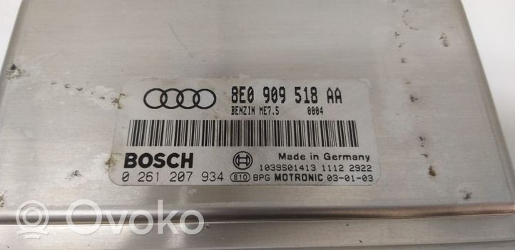 Audi A4 S4 B6 8E 8H Sterownik / Moduł ECU 8E0909518AA