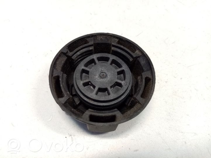 BMW X1 F48 F49 Tapón del depósito de refrigerante 17117639024