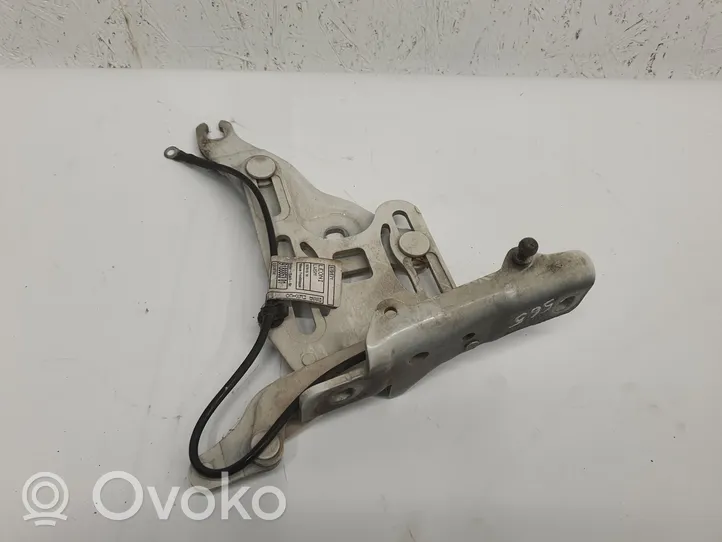 BMW X5 E70 Cerniere del vano motore/cofano 7198618