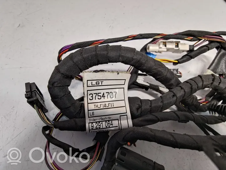 BMW 5 F10 F11 Rear door wiring loom 9291064